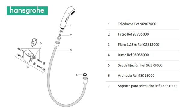 TELEDUCHA BIDE, SOPORTE y FLEXO HANSGROHE