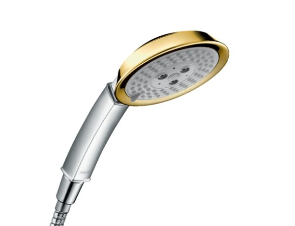 HANSGROHE RAINDANCE CLASSIC TELEDUCHA 100 3jet - Imagen 2