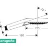 HANSGROHE RAINDANCE SELECT 120 3jet PowderRain - Imagen 2